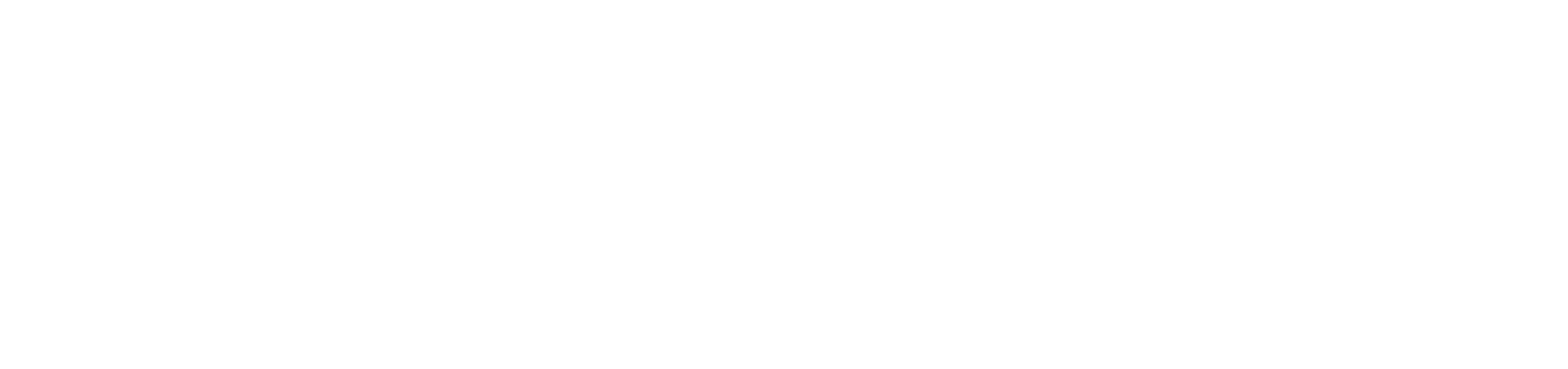 CHUBB_Logo_white_RBG